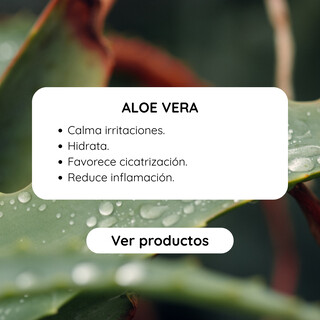 Aloe Vera