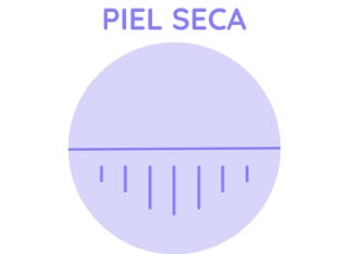 Productos para piel seca