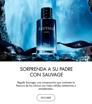 Celebre el Día del Padre con Dior