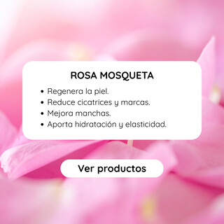 Rosa Mosqueta