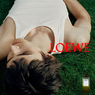 LOEWE PACO PERFUMERIAS