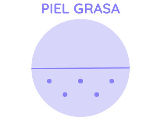 Productos para piel grasa