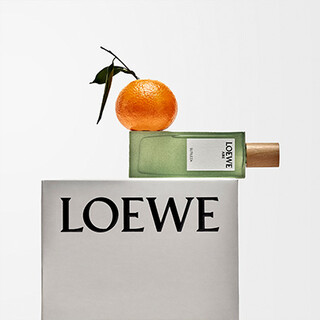Loewe Sutileza
