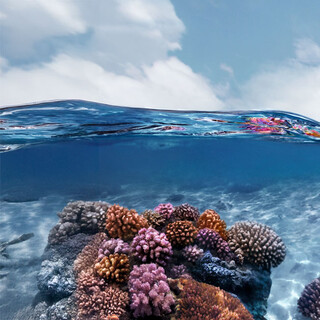 KENZO L'EAU PURE