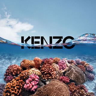 KENZO NUEVO PERFUME FRESCO
