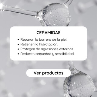Ceramidas