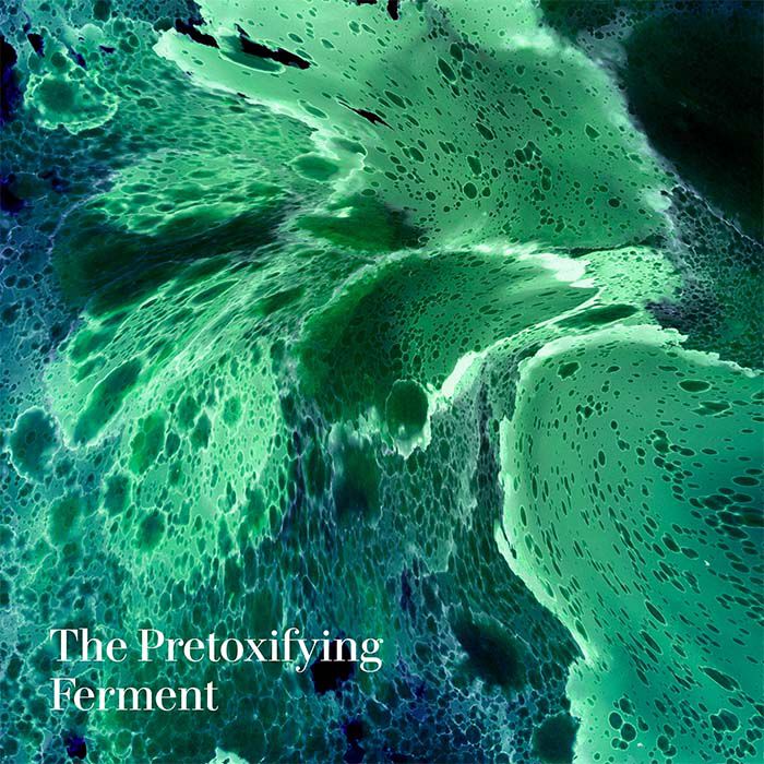 The Deep Purifying Mask  50ml-223104 5