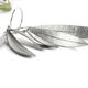 Pendientes Olea Hoja Color Plata 3  T. Única-216771 1