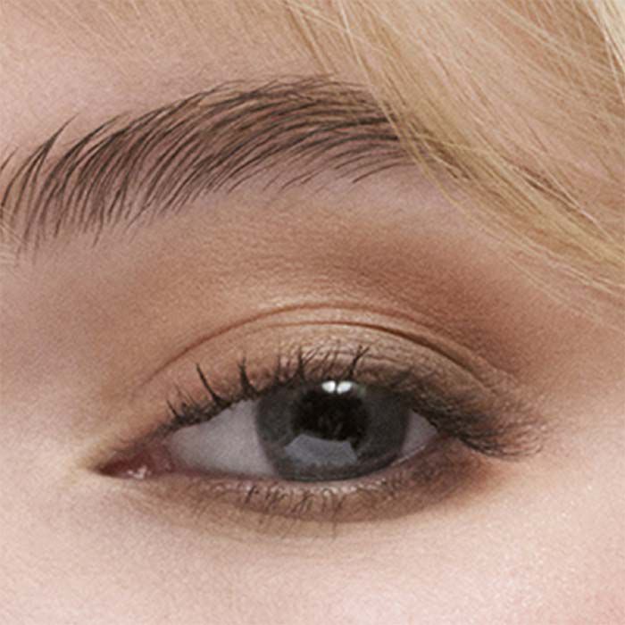 Essential Eyeshadow Quad   2