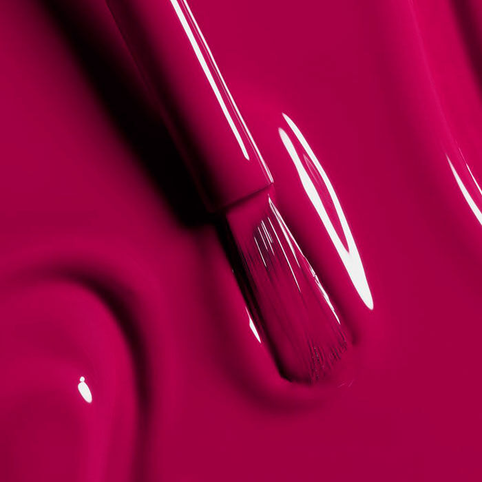 LE VERNIS   1