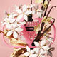 BORN IN ROMA DONNA  100ml-188374 2