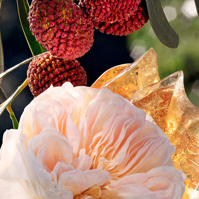 CHLOÉ  50ml-141748 2