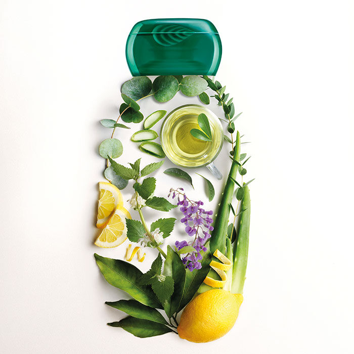 Té Verde & 5 Plantas Champú Detox  300ml-169649 1