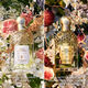 Aqua Allegoria Forte Nerolia Vetiver  75ml-210007 4