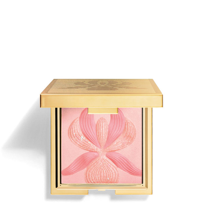 L'Orchid&eacute;e Colorete   3