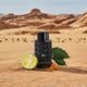EXPLORER EXTREME  60ml-229562 2