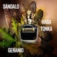 SCANDAL POUR HOMME Le Parfum  100ml-207540 2