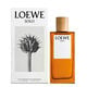 SOLO EDT  100ml-196663 1
