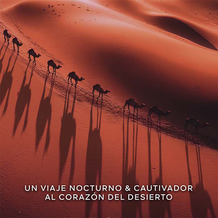 Absolus Allegoria Tabac Sahara  125ml-234675 3