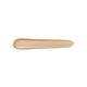 Teint Idole Ultra Wear All Over Concealer   1
