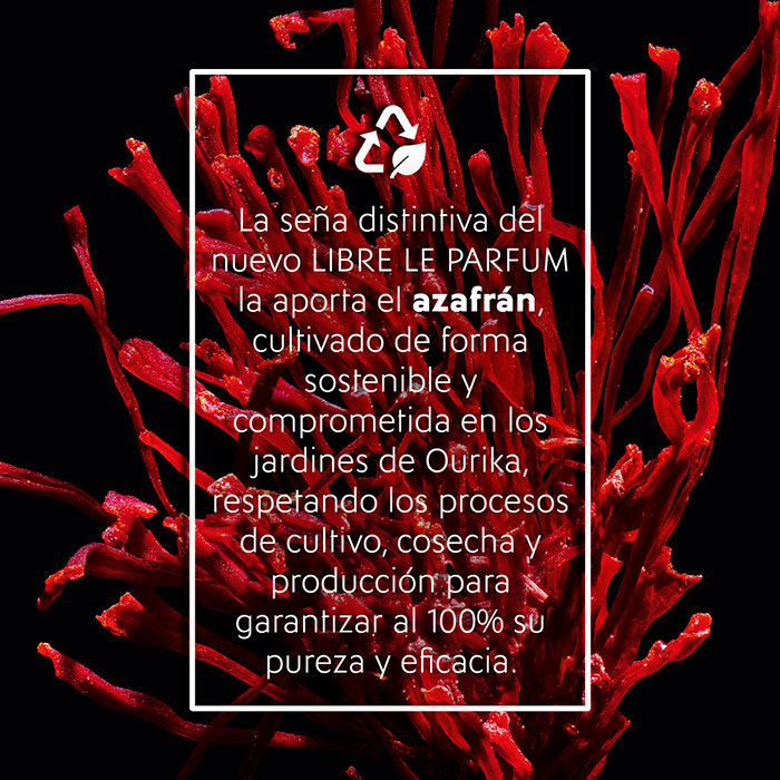 LIBRE LE PARFUM  90ml-206904 5