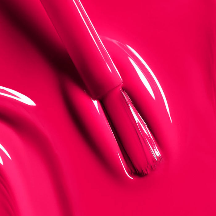 LE VERNIS   5
