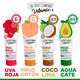 Loción Corporal Vitamin+ Uva  200ml-213897 2