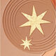 Bronzing Compact  19g-220316 1
