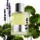 Beau de Jour  100ml-191043 2