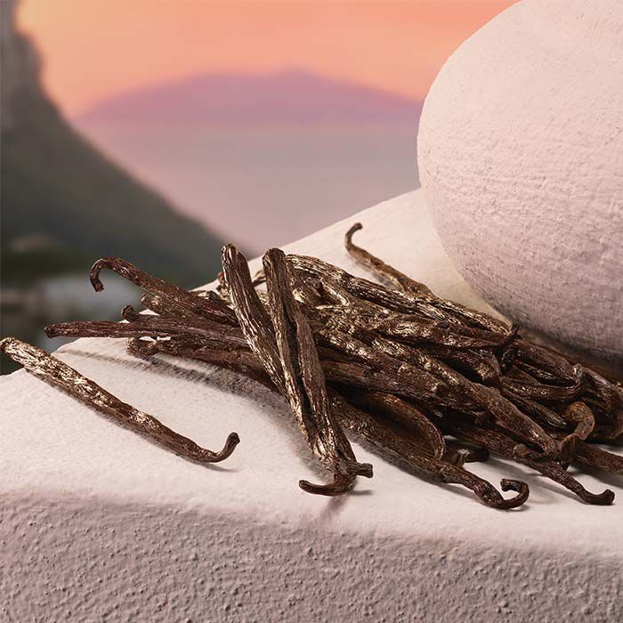 MY DEVOTION  100ml-232093 3