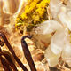Aqua Allegoria Forte Bosca Vanilla  75ml-214071 3