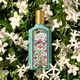 FLORA GORGEOUS JASMINE  50ml-210825 2