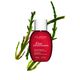 Eau Dynamisante Desodorante  100ml-212302 2