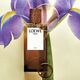 SOLO ELIXIR  100ml-227028 3
