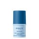 Source Stick Regard Hydratant Adaptogène  4,5gr-211253 6