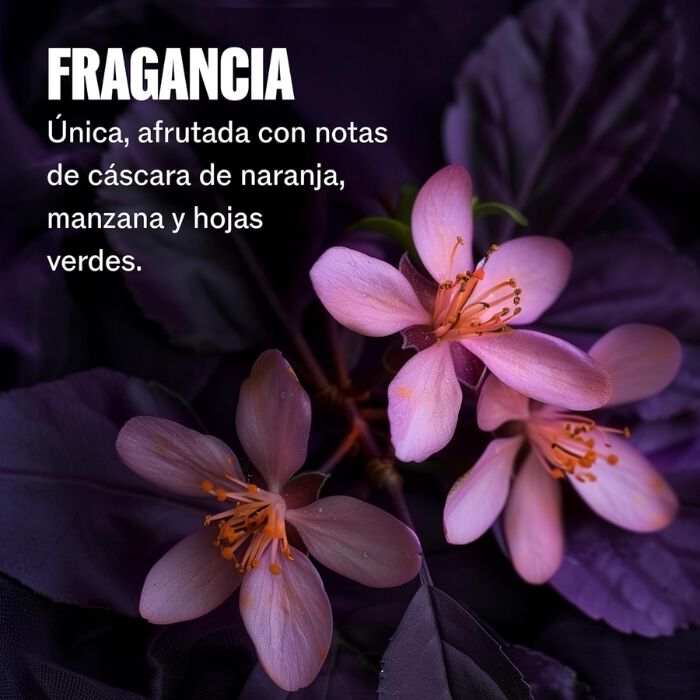 Ultimate Color Shine Spray  95ml-235674 8