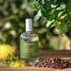 Menta y Menta  100ml-218195 2