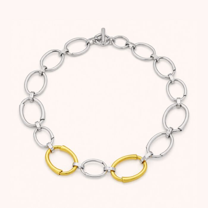 Collar Bucle Oro Plata  