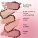 Powder Blush   1