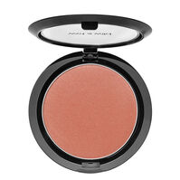 Color Icon Blush   2