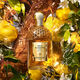 Aqua Allegoria Forte Oud Yuzu  125ml-214070 2