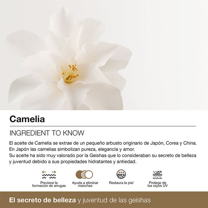 SPLENDOR 10 Crema de Día  50ml-165730 3