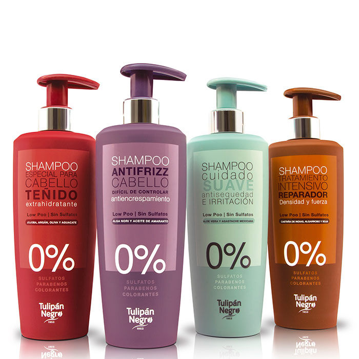 Champú Especial Cabello Teñido  500ml-184629 1