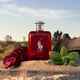 POLO RED EDP  125ml-195081 5