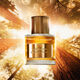 Bois Pacifique  50ml-226534 1