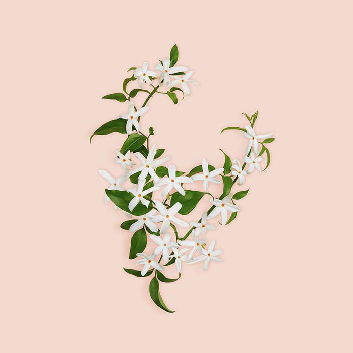 BLOOM PARFUM  100ml-227588 5