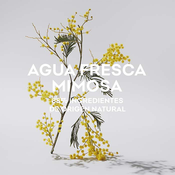 Agua Fresca de Mimosa Coriandro  120ml-186312 2