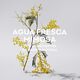 Agua Fresca de Mimosa Coriandro  120ml-186312 2
