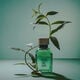 Verbena Jengibre  120ml-211867 4