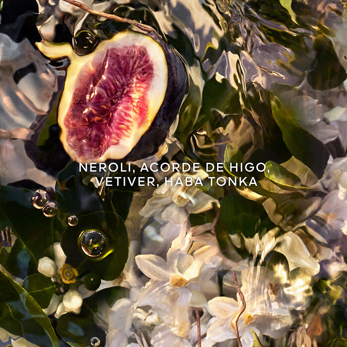 Aqua Allegoria Forte Nerolia Vetiver  125ml-210006 2